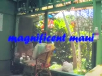 Take a grand tour of off-the-grid Maui thru moving stills set to original music by Tess Heder Take a grand tour of off-the-grid Maui thru moving stills set to original music by Tess Heder