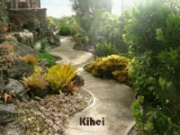 Romantic Maui Two old farts