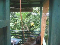 In'Home Sweet Home' Katya shares her Kaeleku Maui jungle home and environs with us, Spring 2005. Large AVI