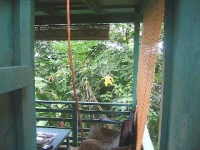 We follow Katya's life around for a few days from her jungle home in east Maui Film by Tess Heder