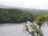 Pacific coast seen from Kahanu Garden, Hana, Maui by Tess Heder