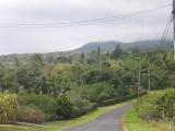 Ulaino Road, Hana, Maui by Tess Heder