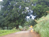 Maui unpaved section of Ulaino Road, Hana, Maui by Tess Heder