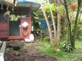 view of the Studio's kitchen on The Land, Hana, Maui by Tess Heder