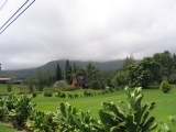 Maui:Estate on Alalele Place near the Hana Airport,by Tess Heder