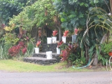 Maui flower stand on Ulaino Road, Hana, Maui by Tess Heder